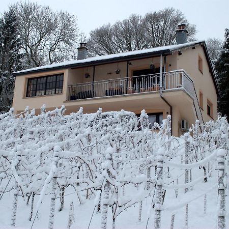 Casavitis Erholung Am Weinberg Apartment Lontzen Екстериор снимка