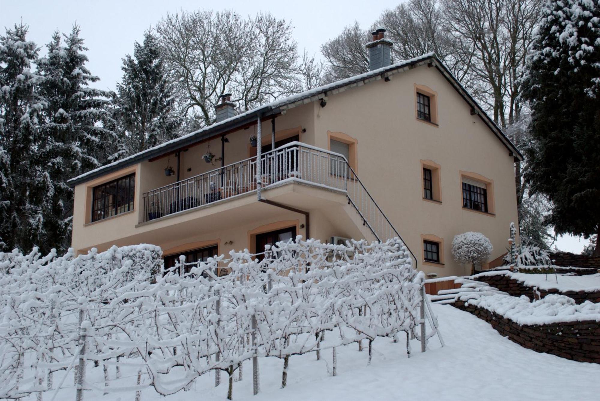 Casavitis Erholung Am Weinberg Apartment Lontzen Екстериор снимка